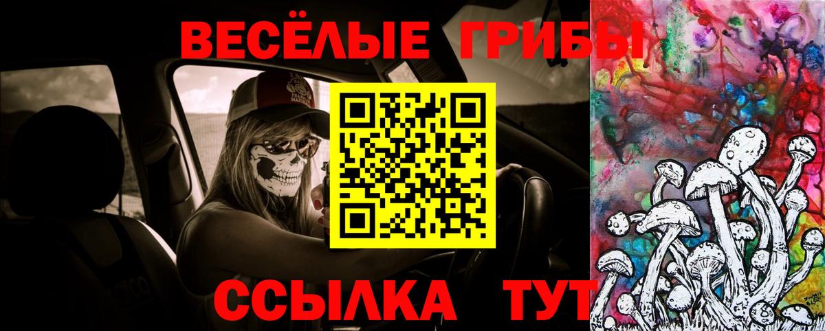 Галлюциногенные грибы GOLDEN TEACHER Грозный